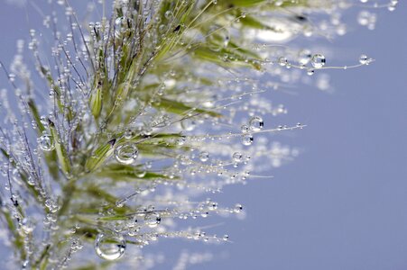 Underwater drip macro