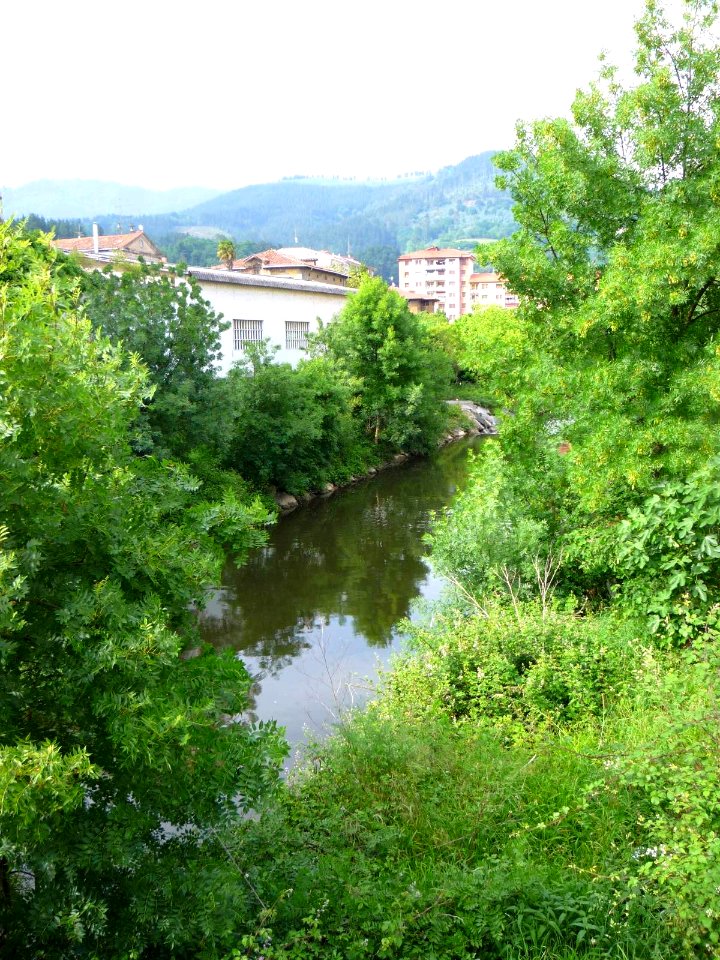 Llodio - Río Nervión 13