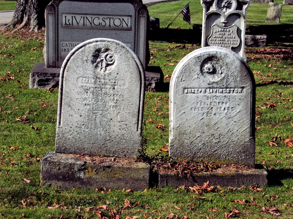 Livingston (Sarah and Joseph), Lebanon Church Cemetery, 2015-10-23, 01