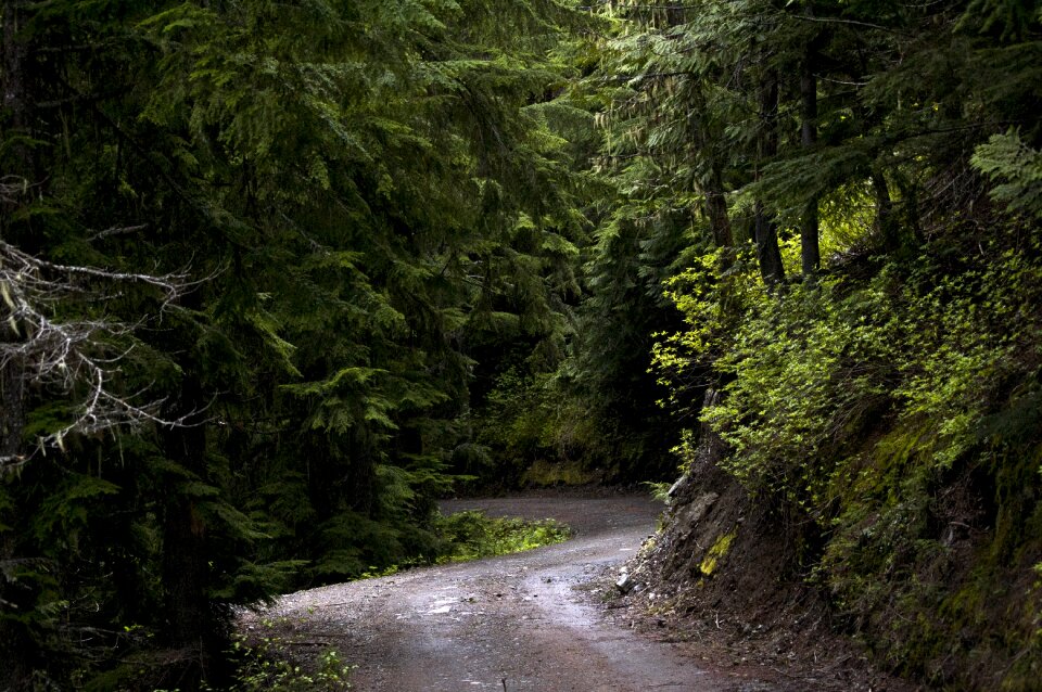 Sunlight road path