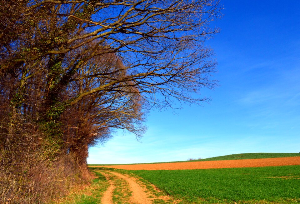 Sky aesthetic nature