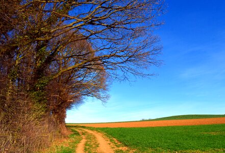 Sky aesthetic nature photo