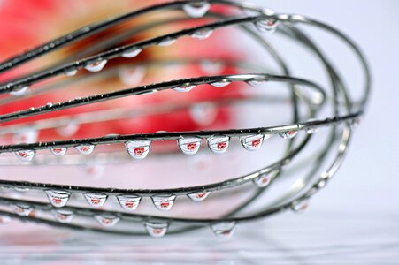 Bloom mirroring drop of water
