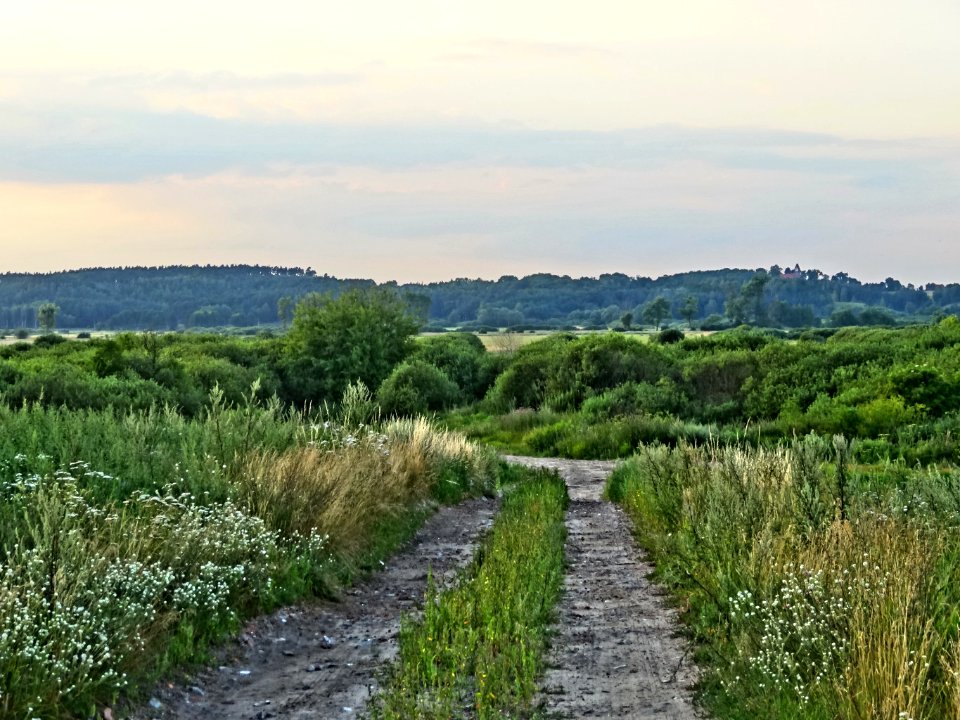 Lochowo dolina bydg-nakielska 07-2014