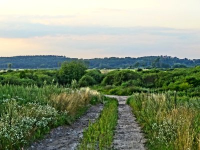 Lochowo dolina bydg-nakielska 07-2014