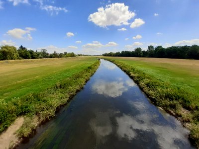 Lochau WeißeElster