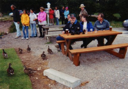 Loch Ness 2000-1-ducks