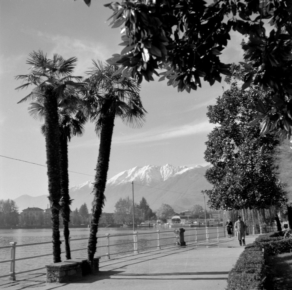 Locarno Boulevard met palmen en enkele bezoekers, de Alpen op de achtergrond, Bestanddeelnr 254-4778