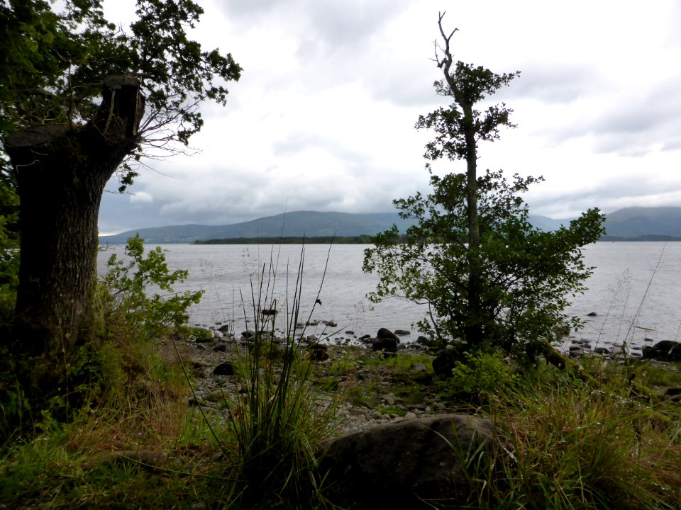 Loch-Lomond-9