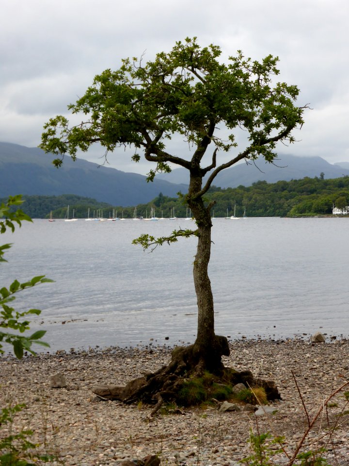 Loch-Lomond-12