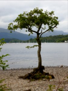 Loch-Lomond-12