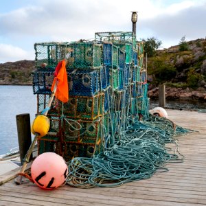Lobster traps in a jetty in Norra Grundsund 2 photo