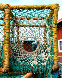 Lobster trap in Norra Grundsund 2 photo