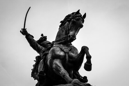 Horses italy venice