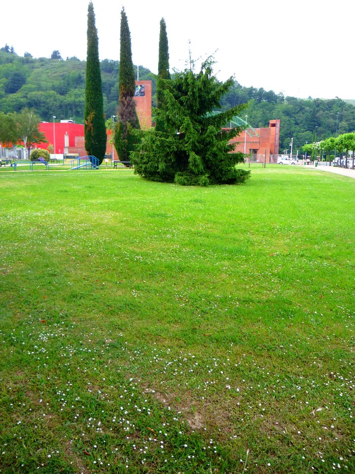 Llodio - 004