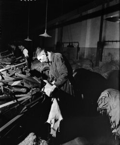 Lleerschaaf, Bestanddeelnr 900-0405