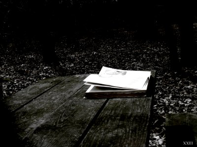 Livre Qui Veut S Envoler (64761757)