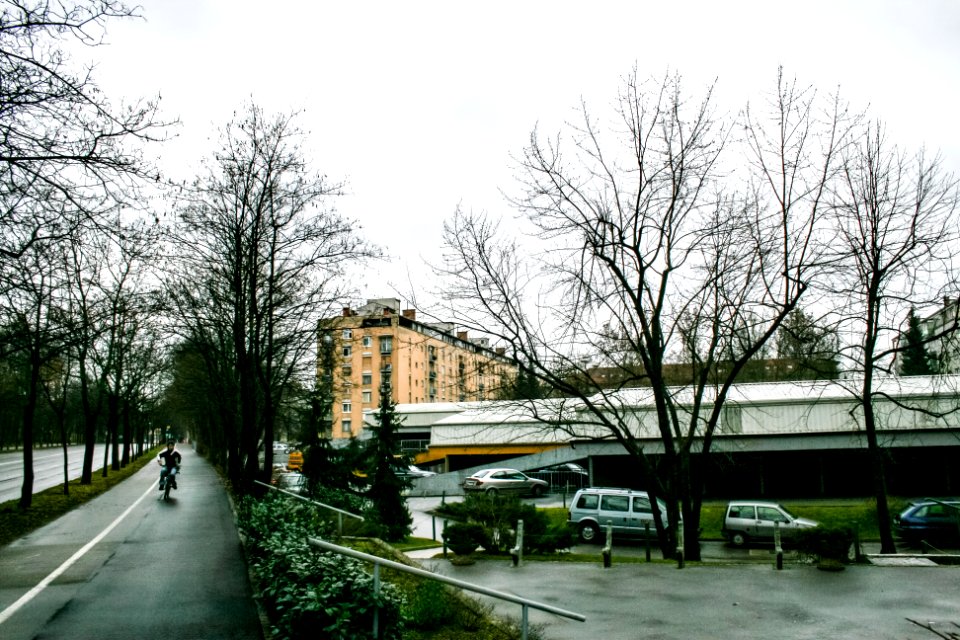 Ljubljana, February 2008 07