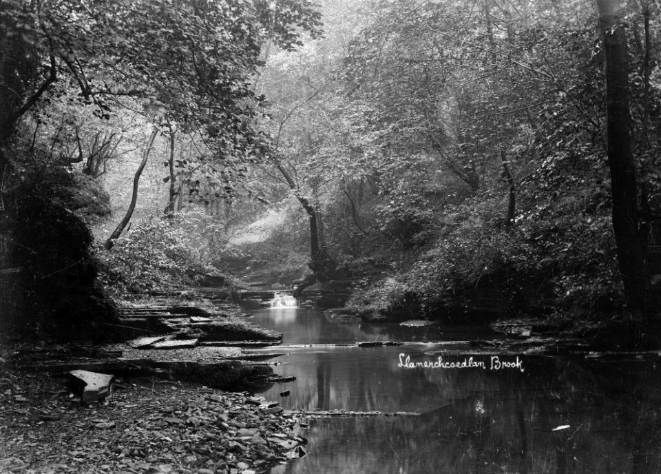 Llanerchcoedlan brook (1294558)