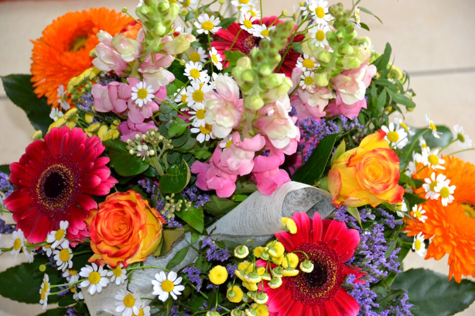 Colorful bouquet blossom