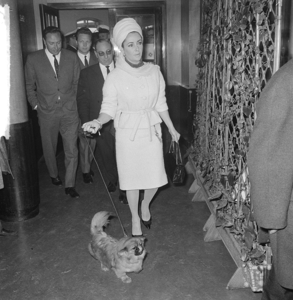 Liz Taylor op Schiphol (zij kwam naar filmopnamen van haar man Richard Burton ki, Bestanddeelnr 917-6923