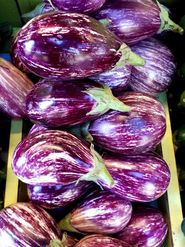 Listada de Gandia eggplants 2017 C