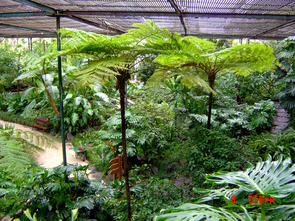 Lisbon Botanical Garden 2006-01-06, detail 02