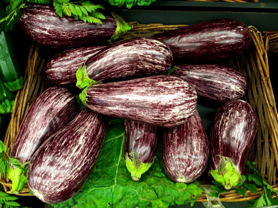Listada de Gandia eggplants 2017 A