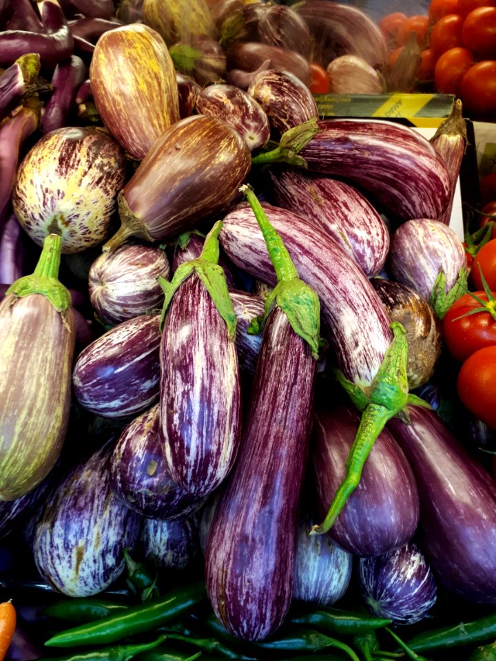Listada de Gandia eggplants 2017 B