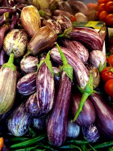 Listada de Gandia eggplants 2017 B