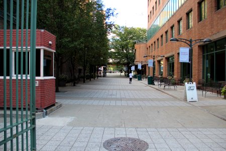LIU Brooklyn campus, Sept 2017