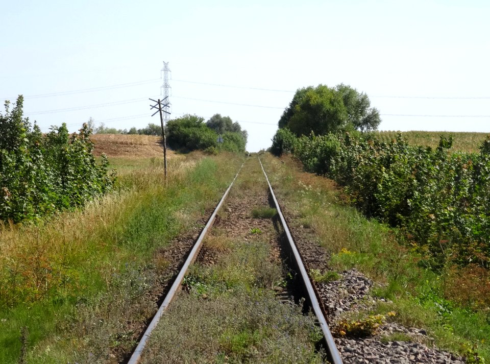 LK281 Naklo-Wiecbork1