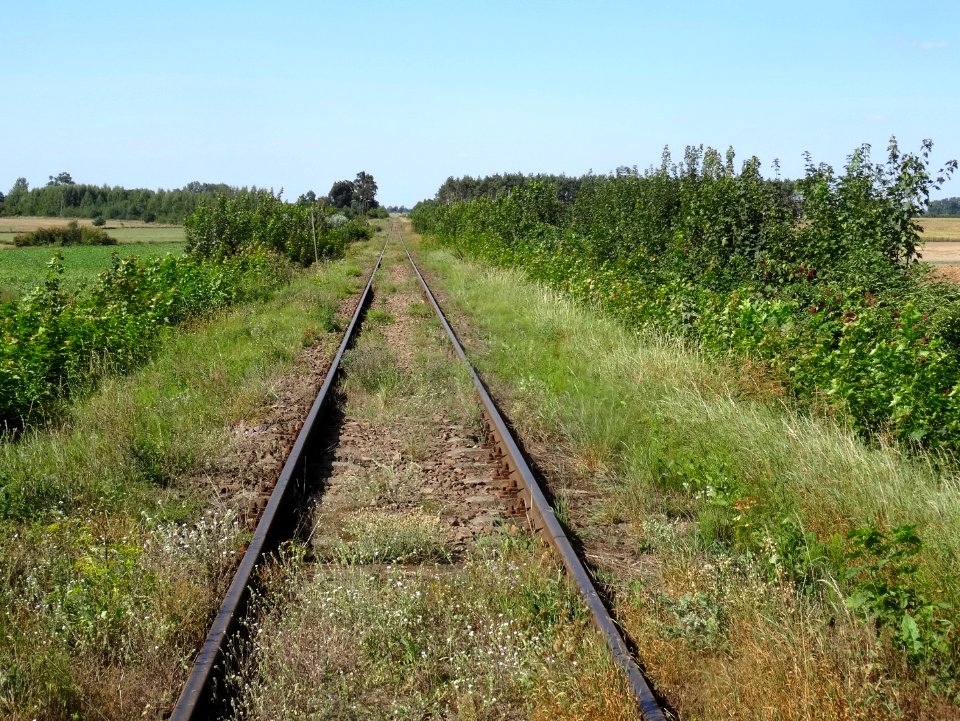LK281 Naklo-Wiecbork2