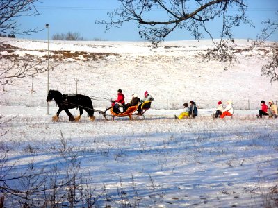 LKPiW zima - kulig