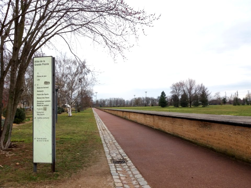 Lyon 7e - Parc de Gerland, allée de la Grande Prairie, côté sud depuis la rue Jean-Pierre Chevrot