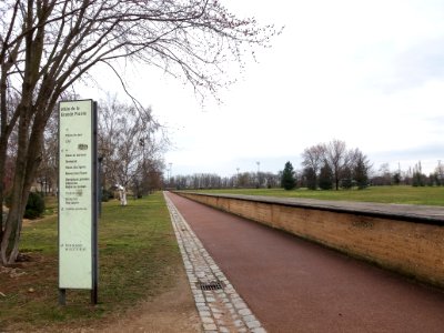 Lyon 7e - Parc de Gerland, allée de la Grande Prairie, côté sud depuis la rue Jean-Pierre Chevrot