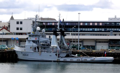 Malabar Reykjavik 20120620