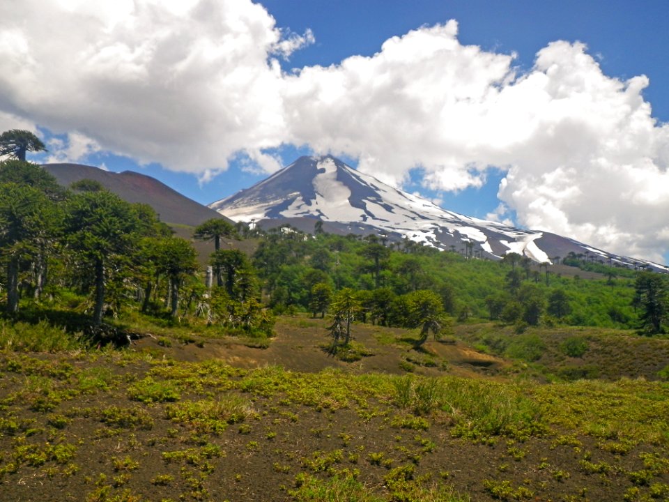 Llaima Volcano with vegetation