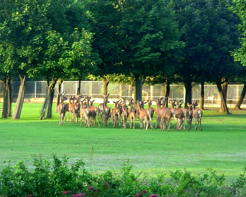 LKPiW sarny 2012