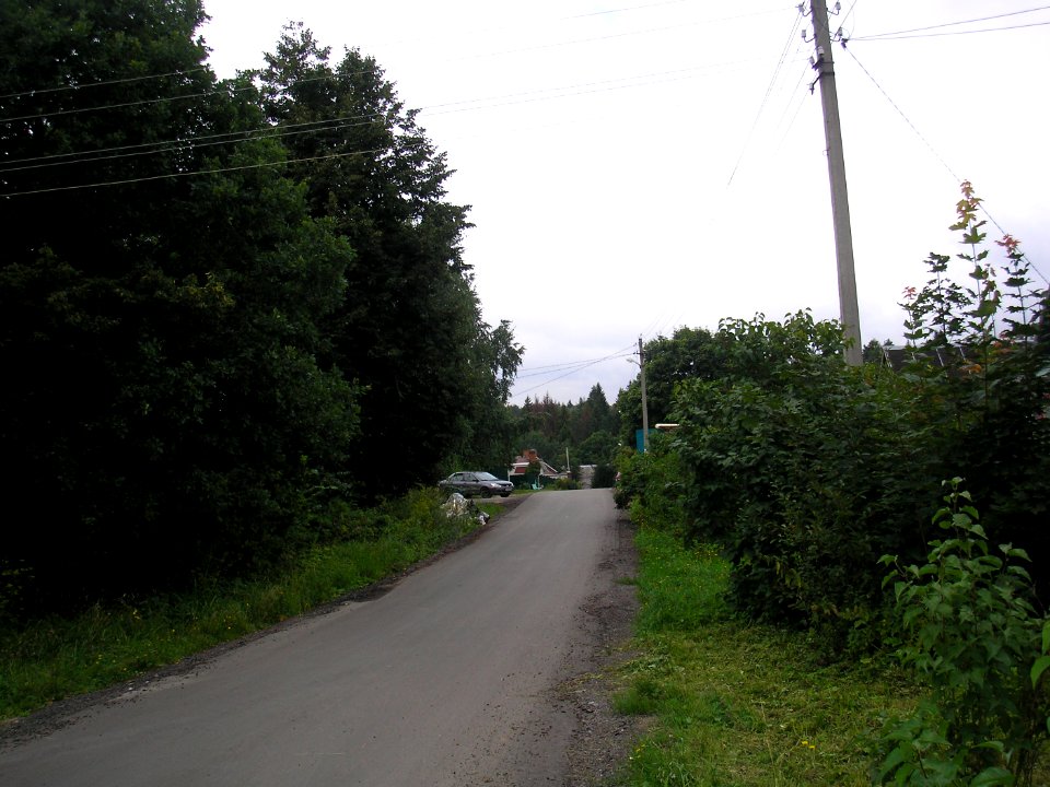 Maksimovka (Istra district) 8
