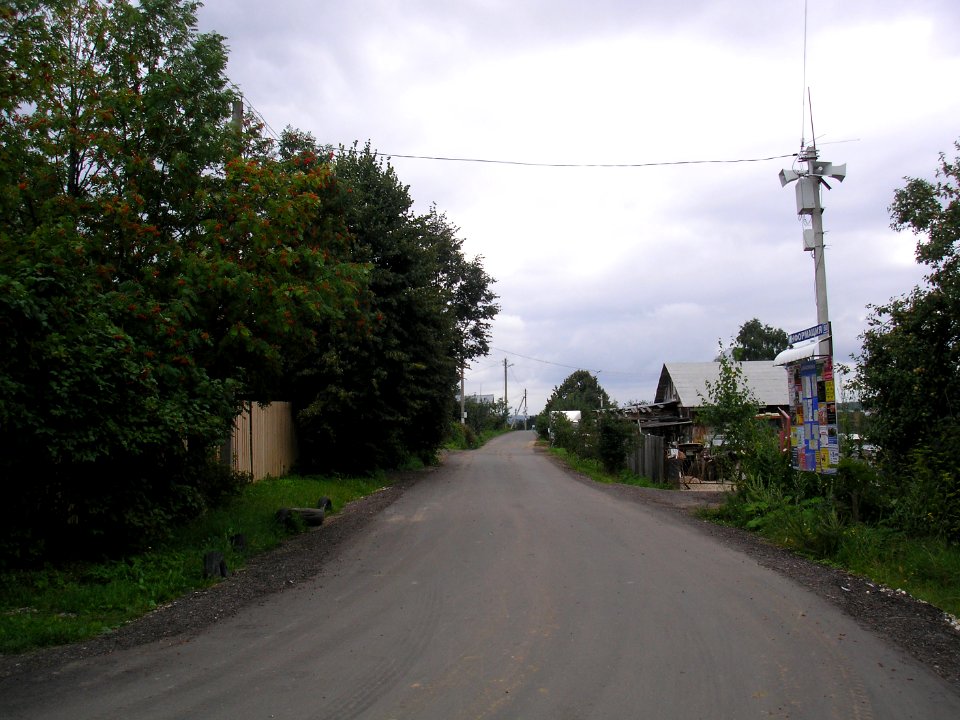 Maksimovka (Istra district) 4