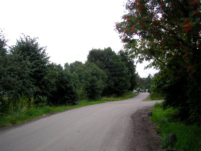 Maksimovka (Istra district) 6