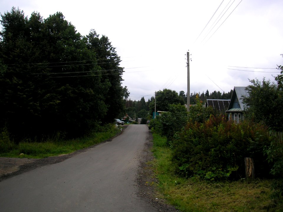 Maksimovka (Istra district) 3