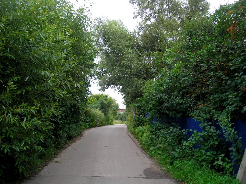 Maksimovka (Istra district) 7