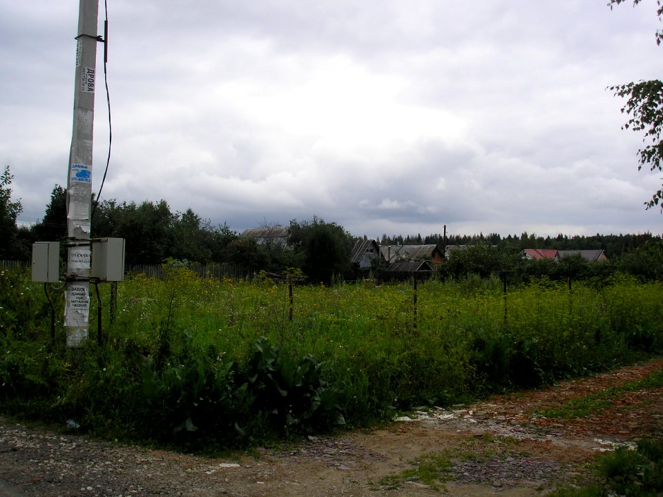 Maksimovka (Istra district) 2