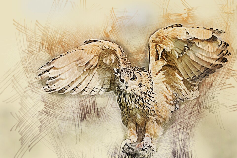 Nature predator portrait