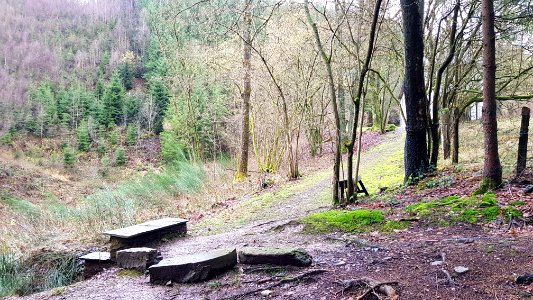 Malmedy-Ermitage Saint Antoine (11)