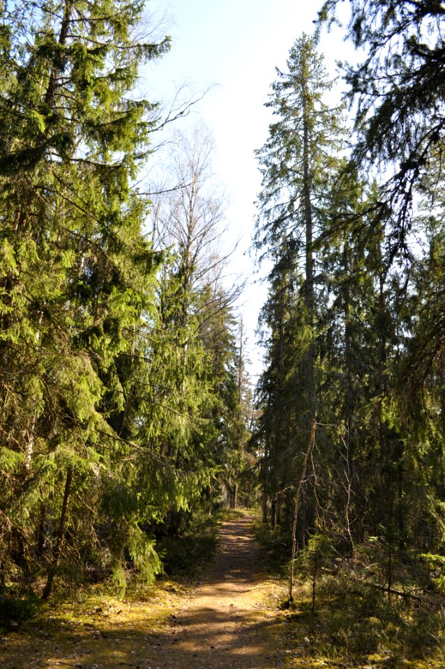 Malmköpings naturreservat 2