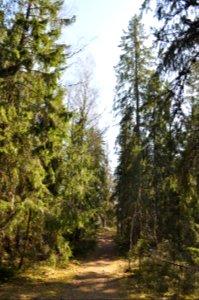 Malmköpings naturreservat 2