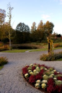 Malmsjön, parken (3)